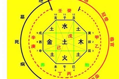 八字喜忌查詢|生辰八字算命